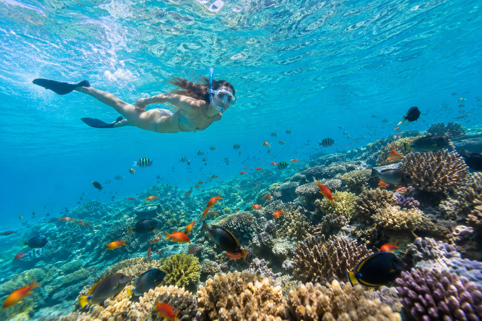 Maldives Overwater Honeymoon